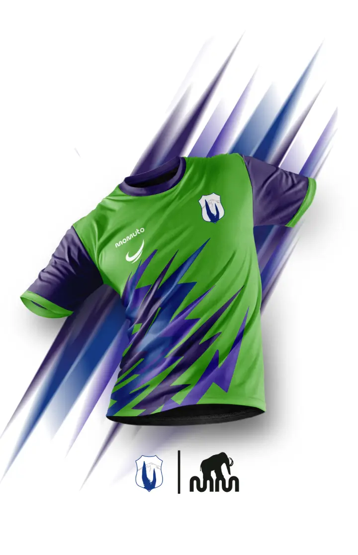 Diseño Tajinastes FC